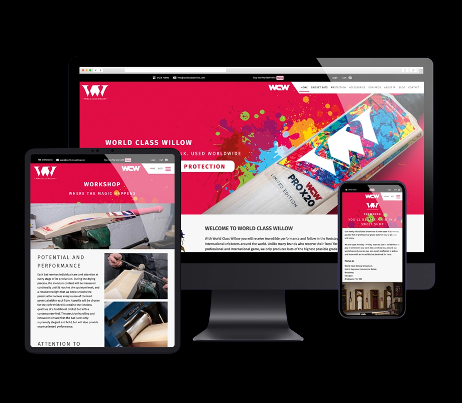 Website Design